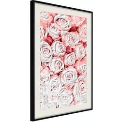 Arkiio Affisch White Roses [Poster] 20x30 Poster